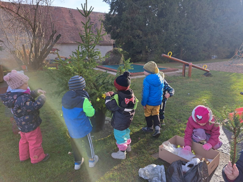 597563803-2147822392291294-34463821972625837-n